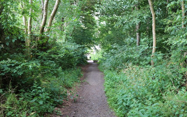 Cardowrie Loan © Bill Kasman :: Geograph Britain and Ireland