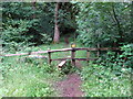 Llwybr glanafon / Riverside path