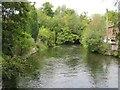 River Itchen