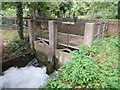 Sluice gates on the River Itchen