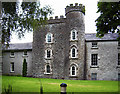 N9485 : Castles of Leinster: Smarmore, Louth (1) by Garry Dickinson