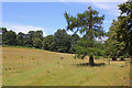 Footpath to Broomy Downs