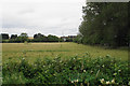 Field near Wick Farm