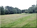 Meadow in front of Stanley Wood