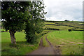 Tracks in field, Gleneeny