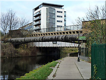 TQ3783 : Northern Outfall Sewer crosses River Lee Navigation by Robin Webster