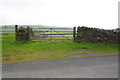 Field gateways on west side of road opposite Higher Green Wood