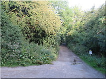 SU0795 : Track near Cerney Wick by Malc McDonald