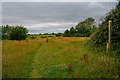 ST5290 : Mathern : Grassy Field by Lewis Clarke