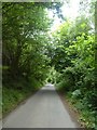 Road south of Trenchford reservoir