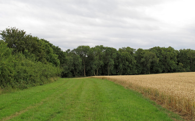 Footpath on wide arable field margin, Noak Hill