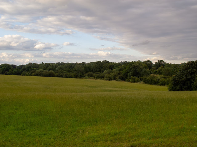 Field near Wrightsbridge Farm, South Weald