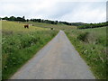 Minor road near to New Morlich