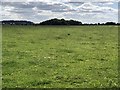 Aylesbury Ring footpath