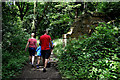 Woodland path, Drum Manor