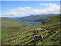 NN6526 : View towards Loch Earn from the slopes of Creag Each by Alan O'Dowd