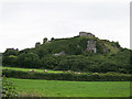 S5398 : Castles of Leinster: Dunamase, Rock of Dunamase, Louth (1) by Garry Dickinson