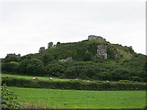 S5398 : Castles of Leinster: Dunamase, Rock of Dunamase, Louth (1) by Garry Dickinson