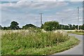 Southolt: The road to Bedingfield Plantation and Hall