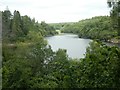 Trenchford reservoir from picnic area