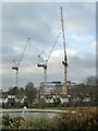 View west from Mile End Park, with cranes, 2010