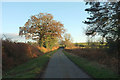 Lane past Blackingstone Farm