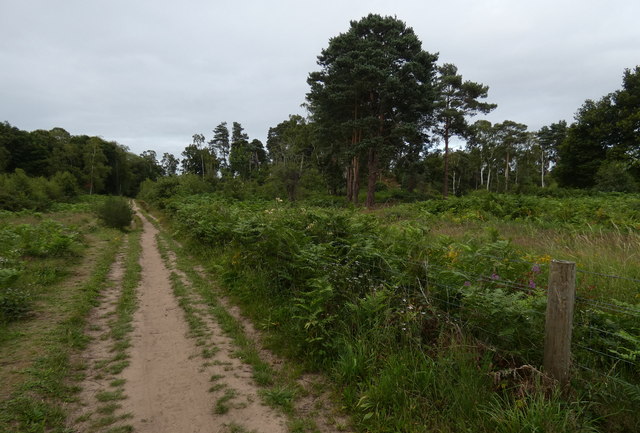 Path at the Devil's Spittleful Nature Reserve