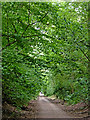 Dismantled railway at Castlecroft in Wolverhampton