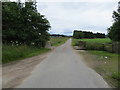 Minor road and bridge near to Mains of Kincraigie