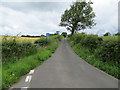 Minor no through road heading in the direction of Cocklakes