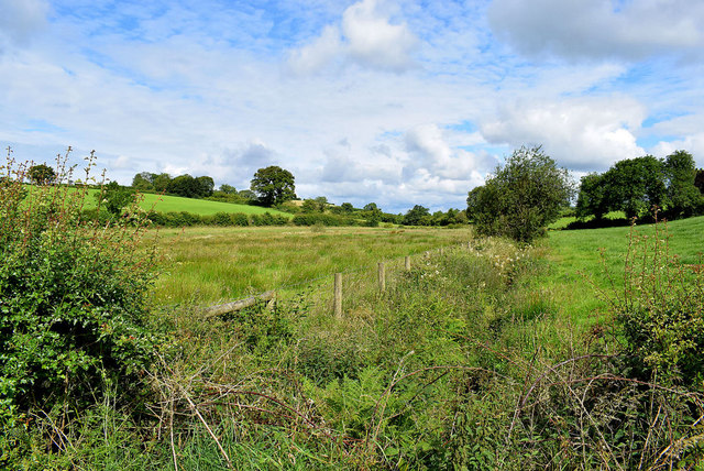 Rough ground, Deer Park (McCormack) © Kenneth Allen :: Geograph Ireland