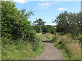 Public Bridleway Near Lysdon Farm