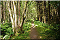 Footpath into Bellton Wood