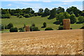 SU2038 : Haystacks in field below Cloudlands Farm by David Martin