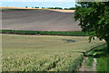 Field edge path descending into valley beside railway embankment