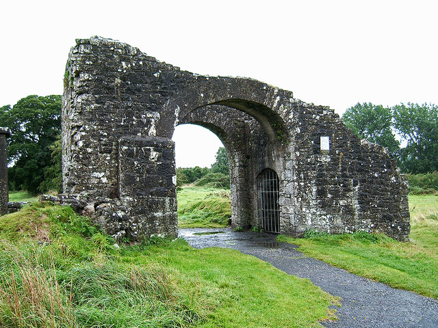 Castles of Leinster: Trim, Meath (3)