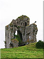 S1971 : Castles of Munster: Tullow, Tipperary (1) by Garry Dickinson
