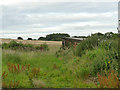 Ruined building in a field off Scotchman Lane