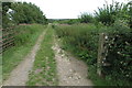 Bridleway to Oving