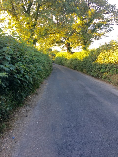 Narrow lane to Dipford