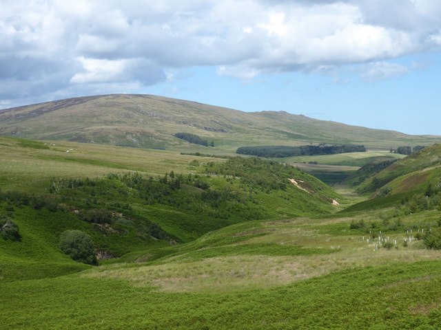 Looking down the valley of the Shank Burn
