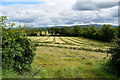 A field with cut grass, Deer Park (Clarke)