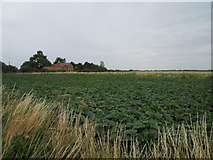 TF2741 : Pumpkin field, Kirton Holme by Jonathan Thacker