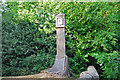 Grandfather clock tree carving beside the A272