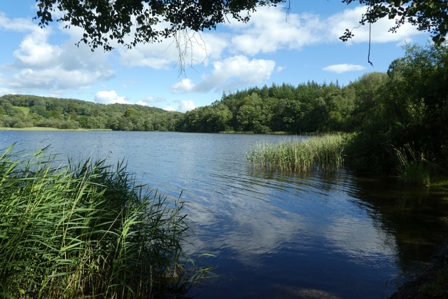 Southern end of Esthwaite Water