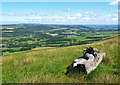 NX2598 : Maxwellston Hill View by Mary and Angus Hogg