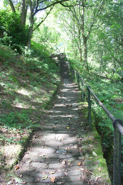 Paved woodland path with steps to... © Luke Shaw cc-by-sa/2.0 ...