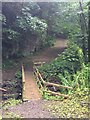 Footbridge, Rhyd y Gaseg 