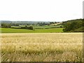 SK6354 : View near Combs Farm by Alan Murray-Rust