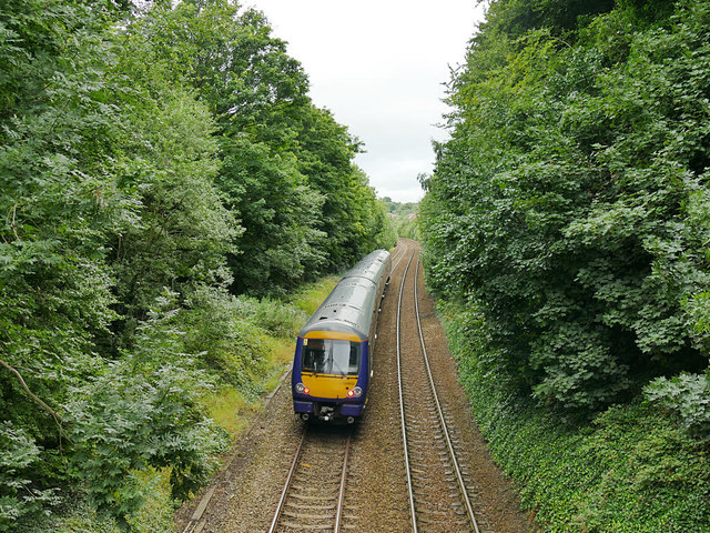 Train through Morris Wood